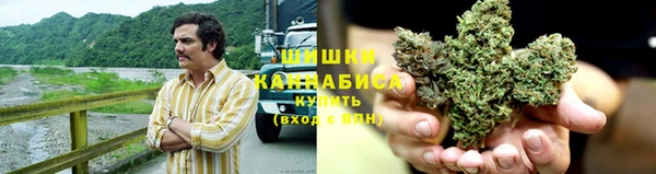 тгк Белокуриха