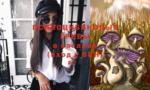 тгк Белокуриха