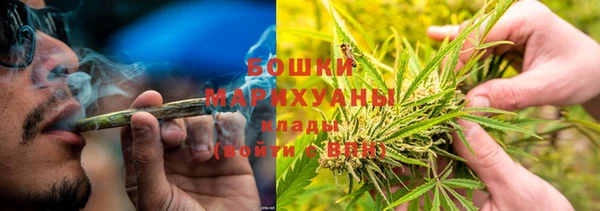 гидра Белоозёрский