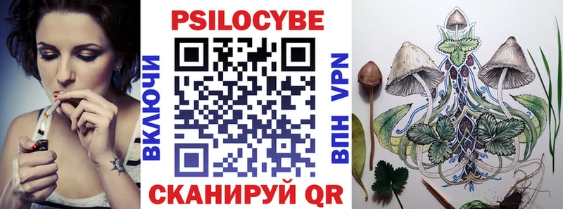 купить   Кстово  Псилоцибиновые грибы Psilocybine cubensis 